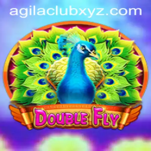 Exploring the Dynamic World of DoubleFly: A New Era in Gaming